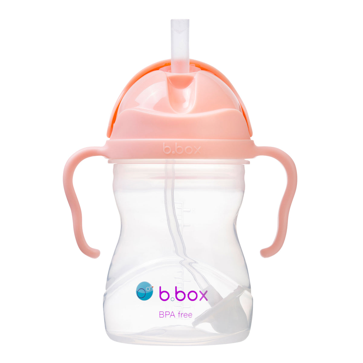 B Box - Sippy cup - TUTTI FRUITI