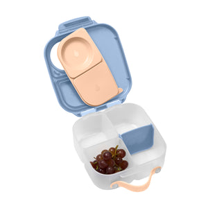 Lunch Box Mini - Feeling Peachy