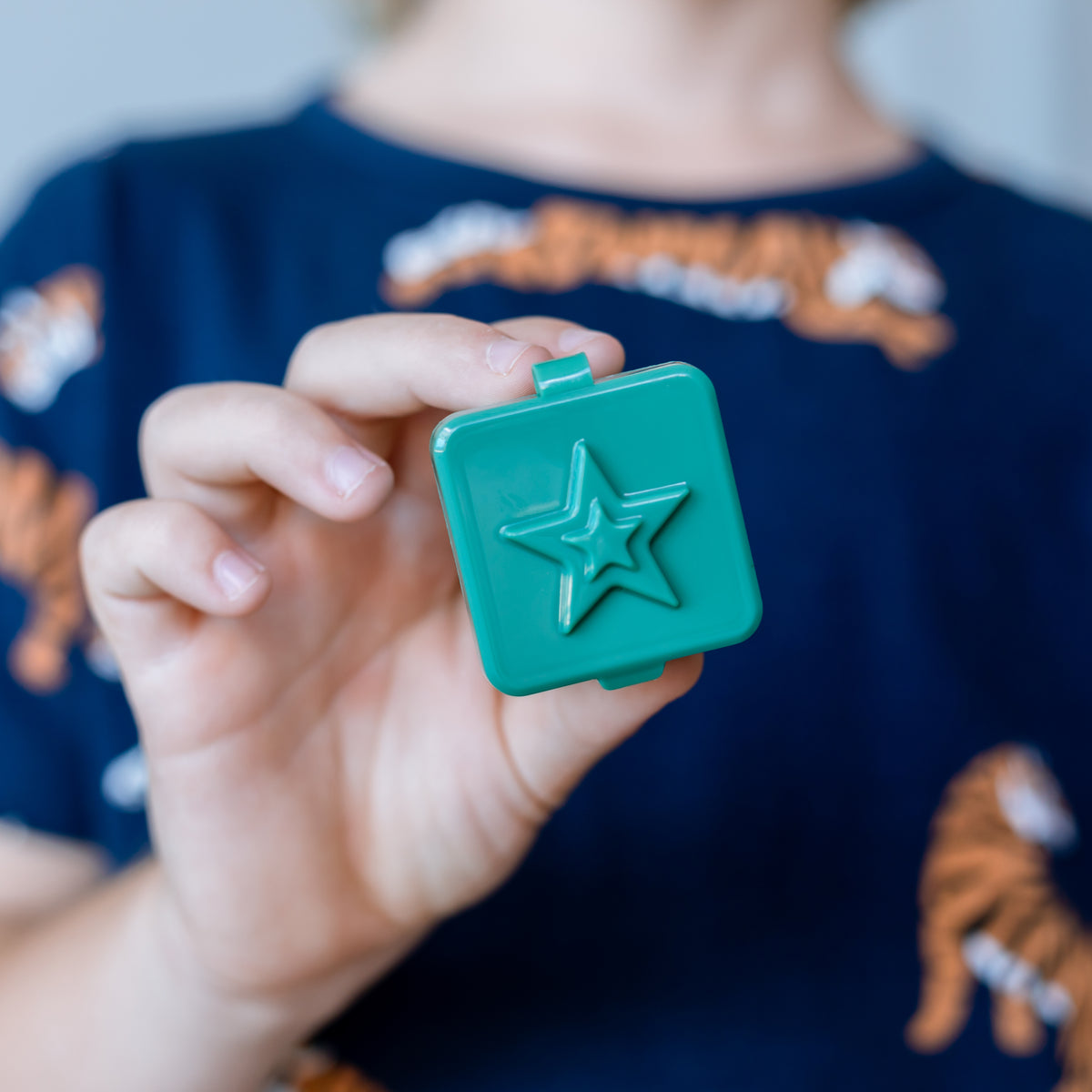 Bento Surprise Boxes Star - Apple