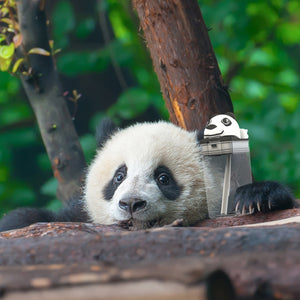 Drink in a Box - Fun tops - Panda