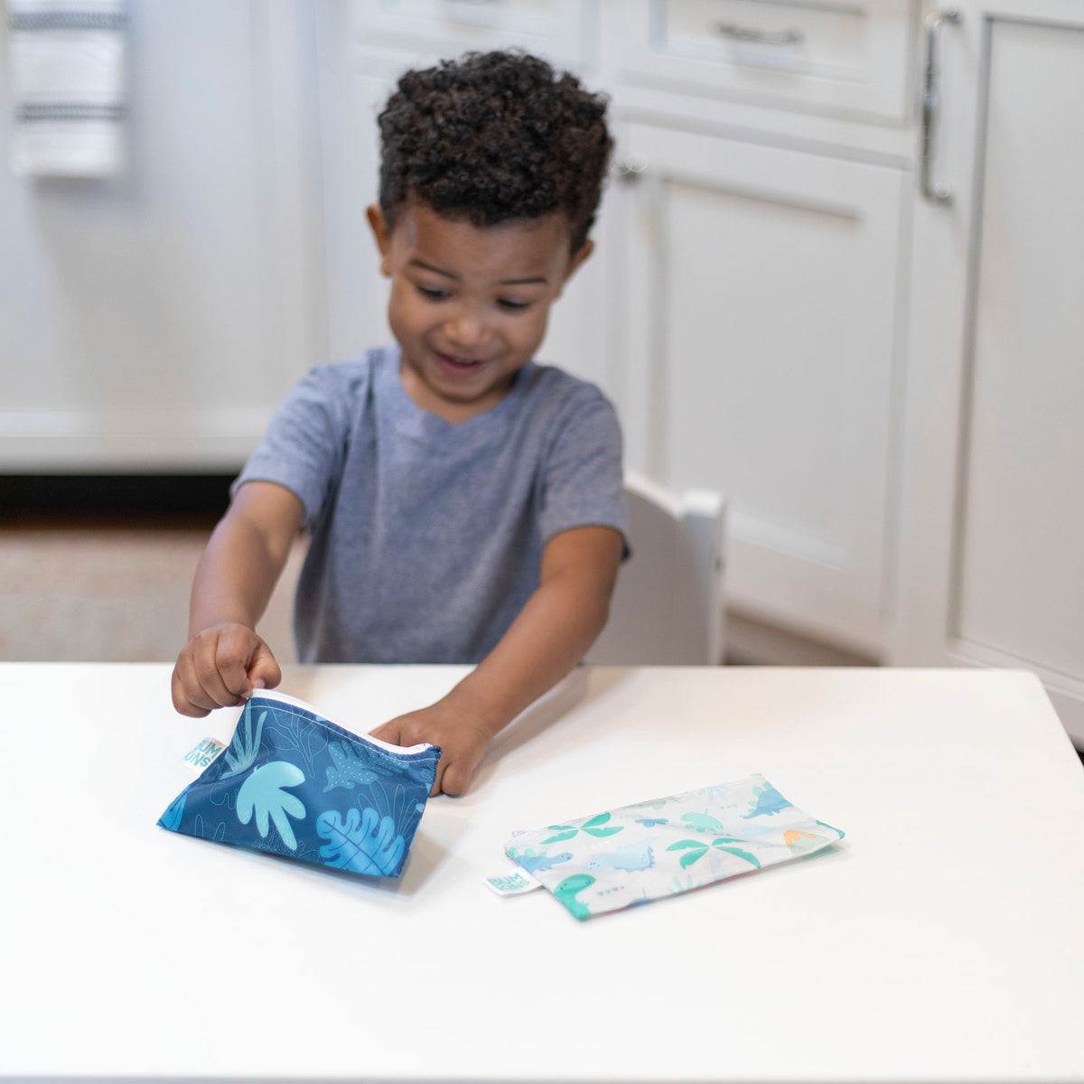 Small Snack Bag 2 pk - Tropic and Dinosaurs